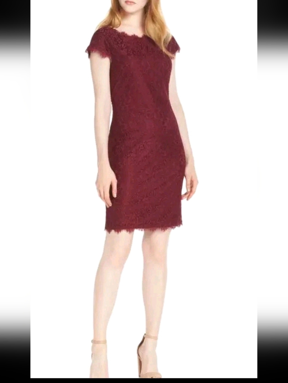 Eliza J Cap Sleeve Floral Lace Sheath Dress Size 8 Burgendy Color Cocktail Guest